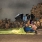190723_ACT5_1121-Edit_1200-72