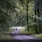 190724_ACT5_1130_1200-72