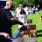 20180903_AnwerpPortEpic_Online-17