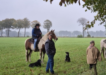 dierenwijding-1-1