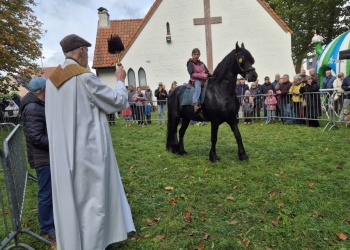 dierenwijding-1-13