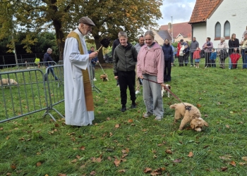 dierenwijding-1-18