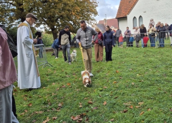 dierenwijding-1-19