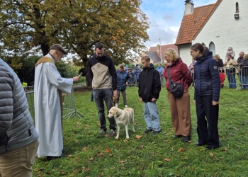 dierenwijding-1-20