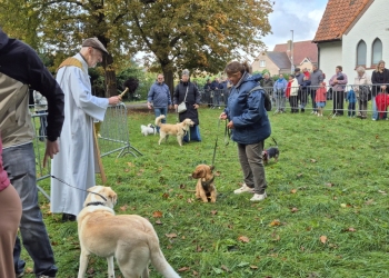 dierenwijding-1-21