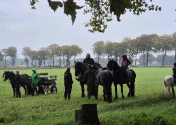 dierenwijding-1-3