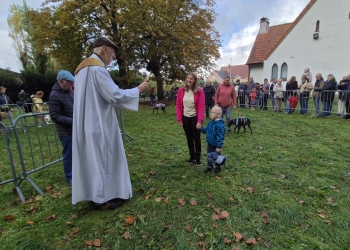 dierenwijding-1-31