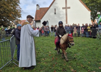 dierenwijding-1-8