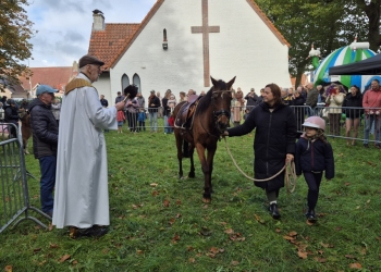 dierenwijding-1-9