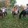 2015-11-08-00-41-27