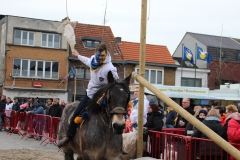 IMG_7904 IMG_7904