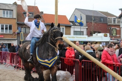 IMG_7914 IMG_7914