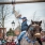 20170319_OudeGans_Polderke_Print-62