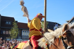 IMG_6733