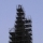 10446018_768431133201439_8558818222897572446_n