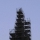 10487356_768431153201437_1422243745180800595_n