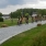 DSCN8379