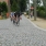 DSCN8389