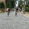 DSCN8391