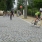 DSCN8392