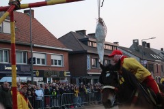 IMG_3255