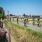 20170827_SchaalSels_Polderke_Online-1