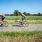 20170827_SchaalSels_Polderke_Online-15