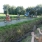 Schaal Sels papenstraat DSCN8774 (5)