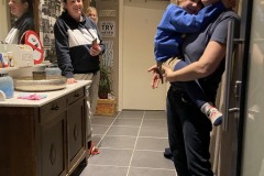IMG_1766.JPEG