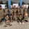 IMG-20191016-WA0008