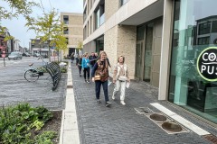 IMG_6249