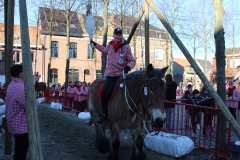 IMG_2112