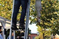 IMG_1237