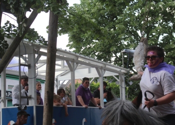 IMG_0908