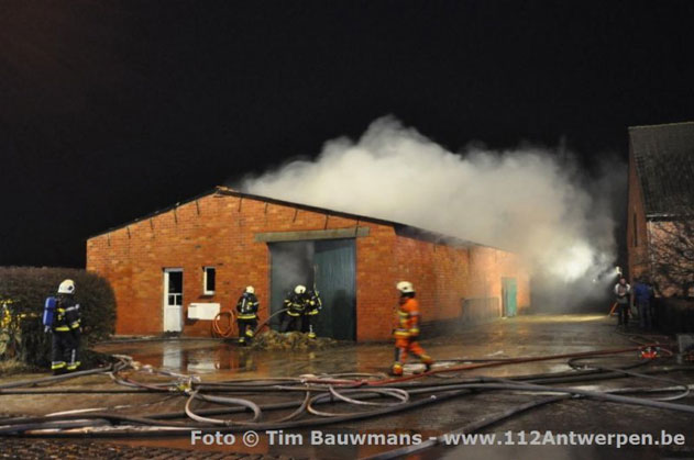 brand kalmthout