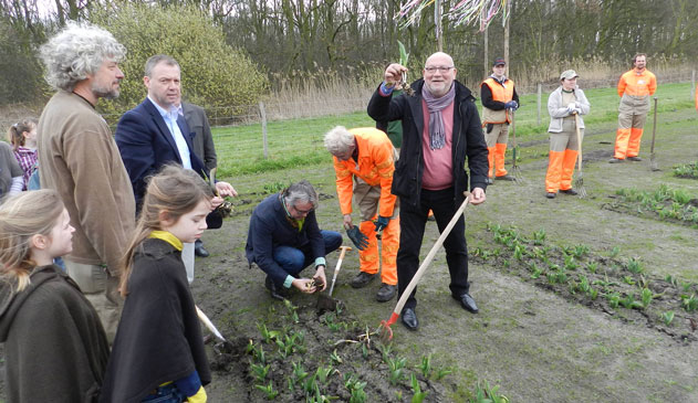 tulpensteek