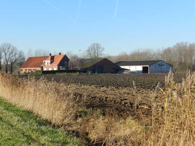 Manege-Hoefijzer-hoeve-Van-Dijk-DSCN9868