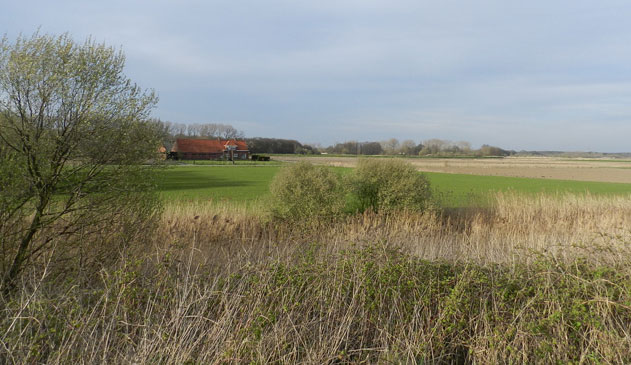 polder