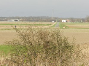 De Berendrechtse polder in de richting Stabroek