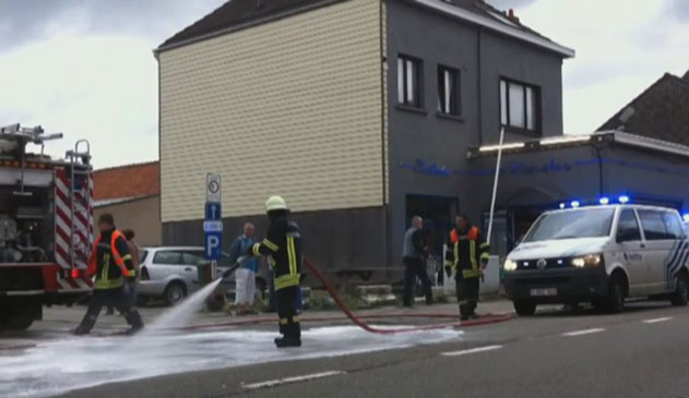 web-ongeval-hoevenen