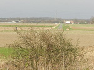 De Opstalpolder die ongetwijfeld tot fraaie schilderingen en tekeningen zal inspireren.