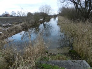 In Berendrecht wordt weer geklaagd over ondergelopen kelders en drassige gronden 