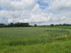 De Opstalpolder: Landbouw is klaarblijkelijk geen groen en geen natuur...