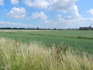 De Opstalpolder (polders van Berendrecht en Stabroek) gezien vanop de Berendrechtse dorpsdijk tegenover het Viswater.