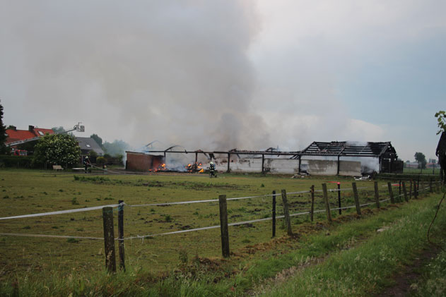 brand loods