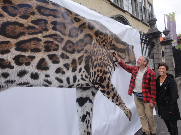 ocelot