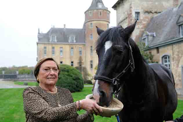 Paard-in-de-keuken