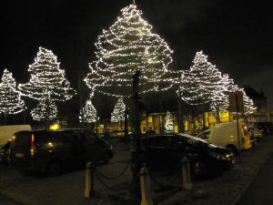 Ook op de Botermarkt zijn de bomen vol met lichtjes 