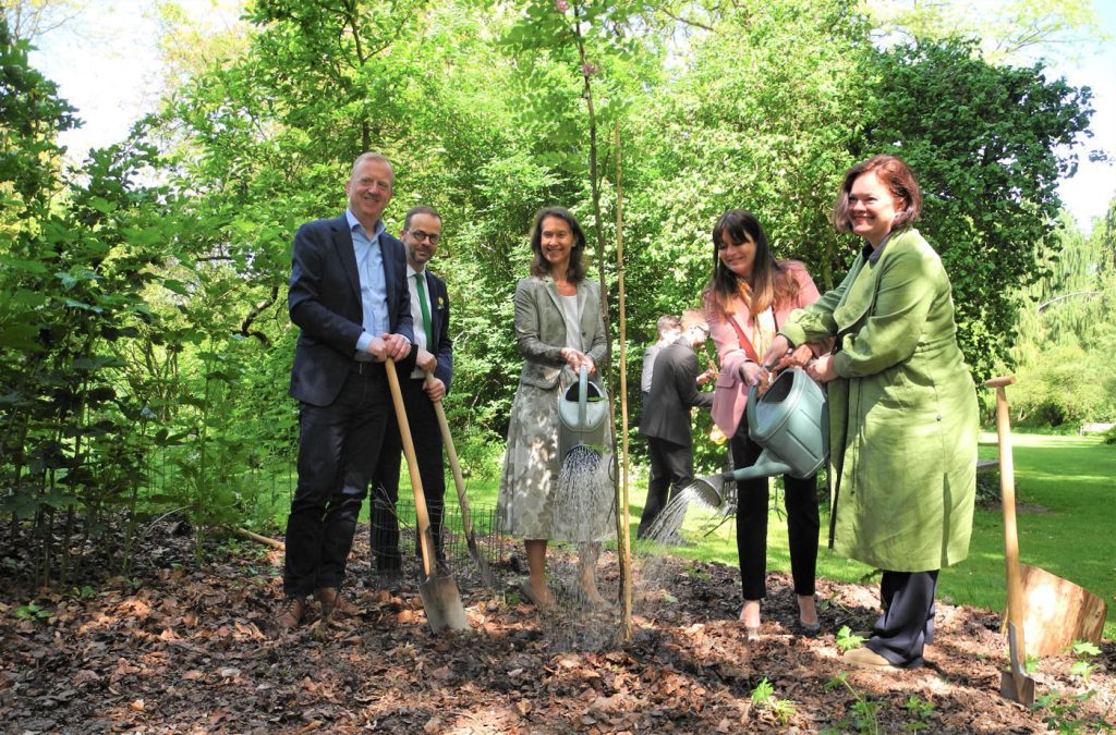 Ambassadeur Slovenië plant boom voor bijen in Arboretum Kalmthout ...