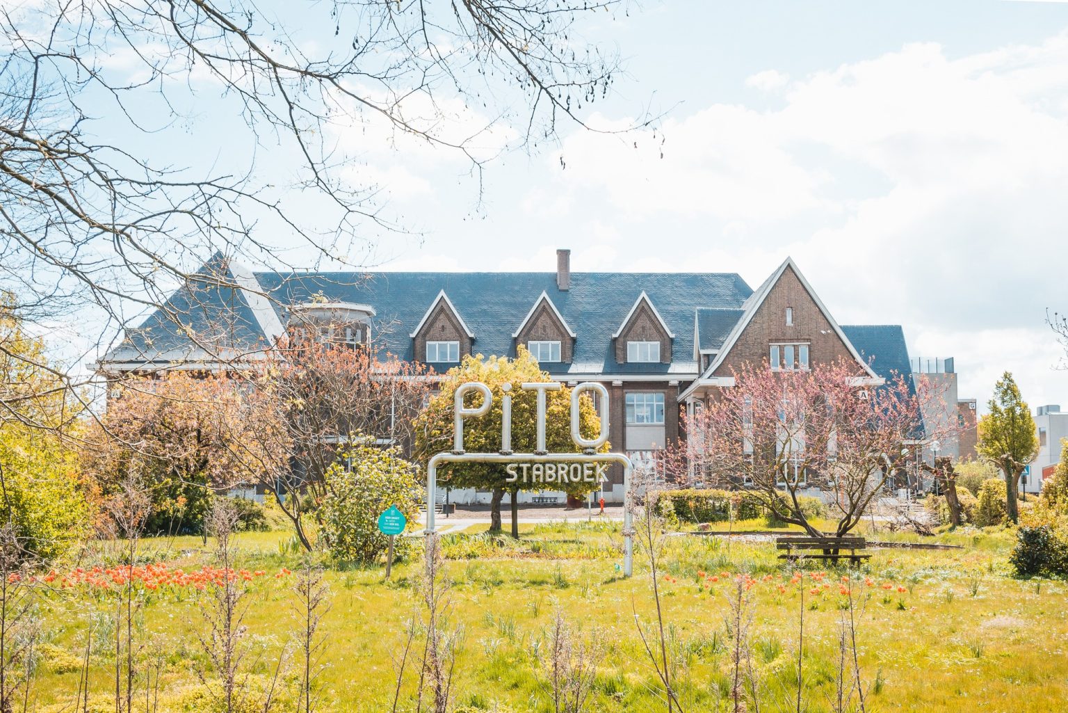 PITO is één van de acht finalisten voor 'Strafste School' van